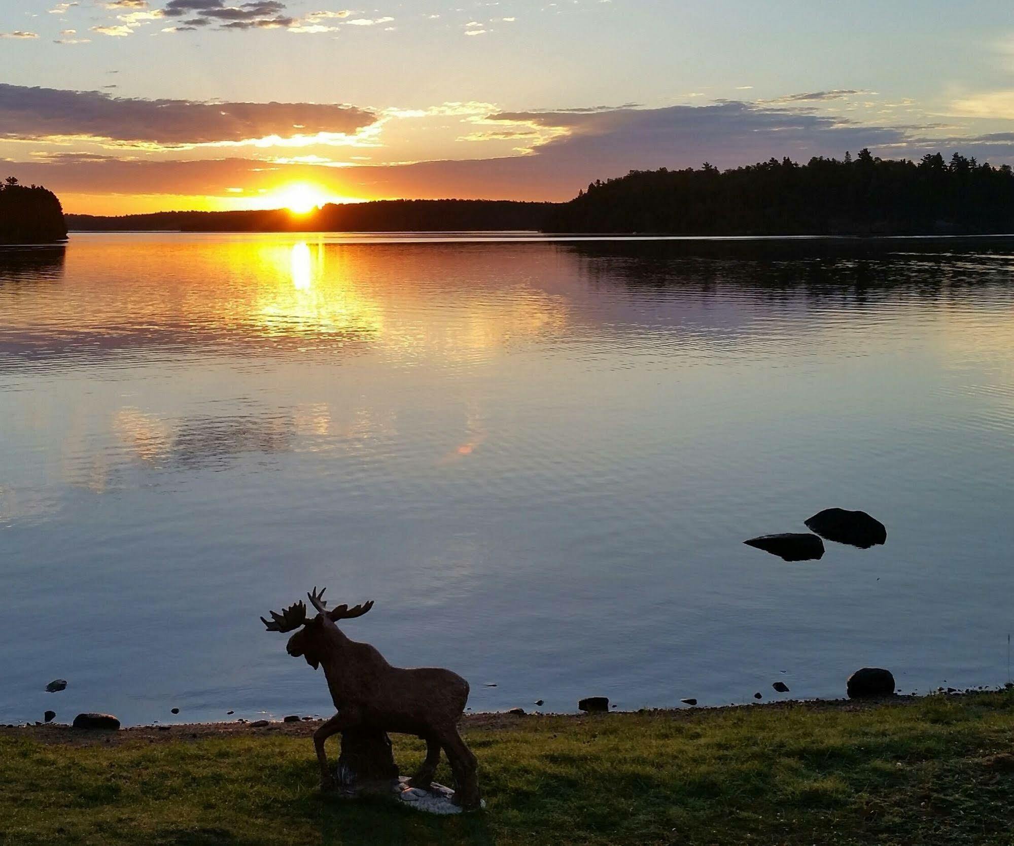 Pine Point Lodge Resort & Motel Crane Lake Eksteriør bilde